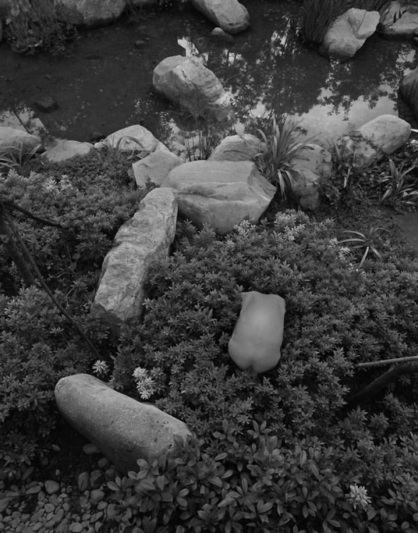 Auto-retratos Arno Rafael minkkinena Desnudo