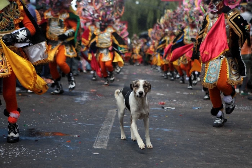 Bolivian holidays: Diablada