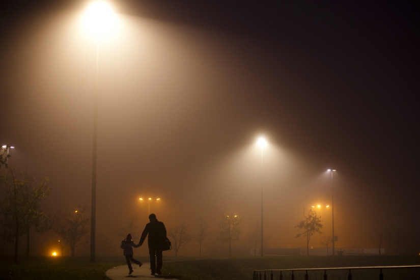 Días de la semana mundial de la