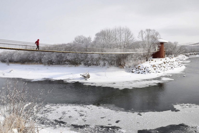 Días de la semana mundial de la