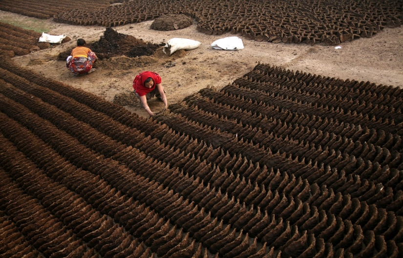 Días de la semana mundial de la
