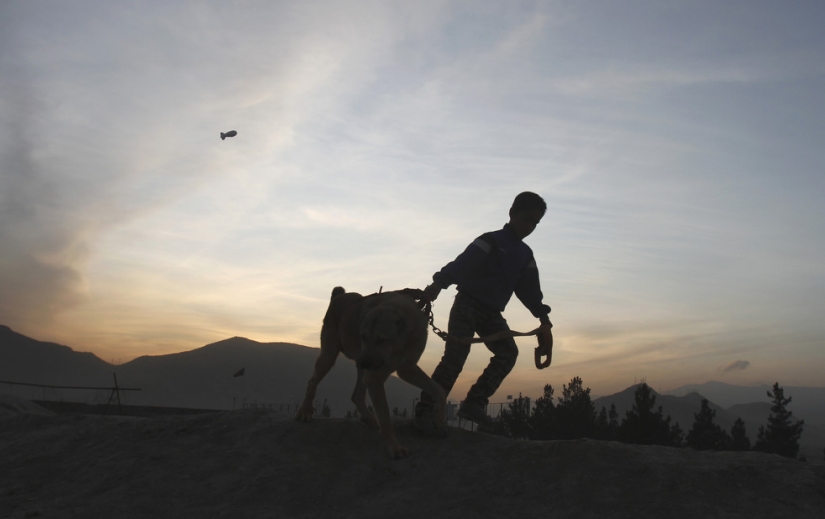 Días de la semana mundial de la