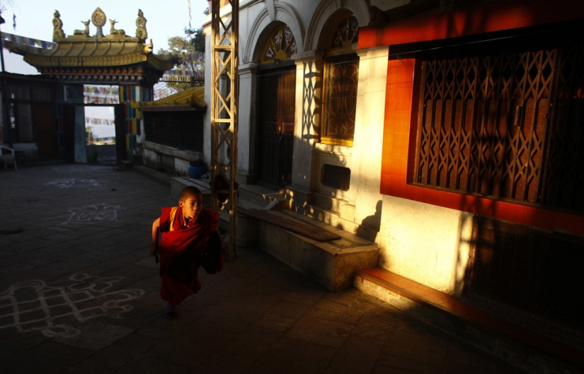 Días de la semana mundial de la
