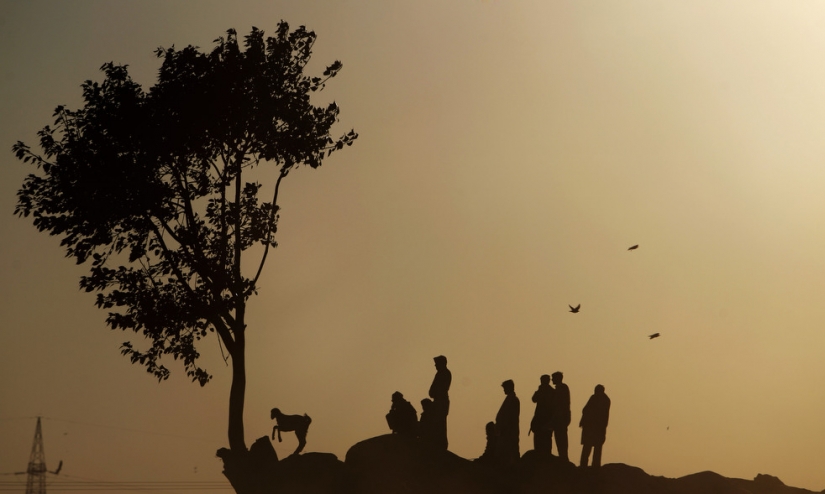 Días de la semana mundial de la