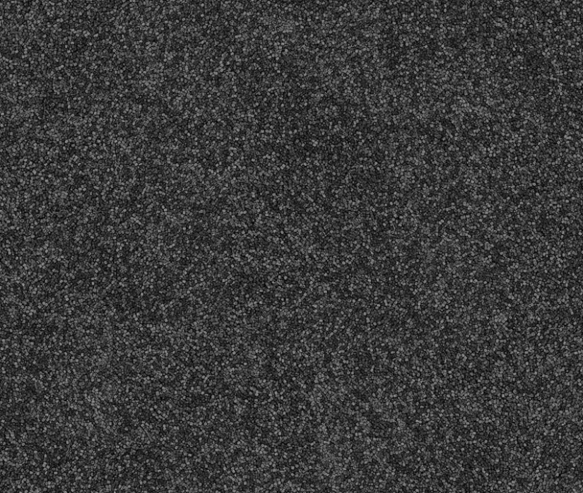 De la serie "American auto-retrato" por Chris Jordan De la serie "American auto-retrato" por Chris Jordan