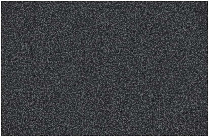 De la serie "American auto-retrato" por Chris Jordan De la serie "American auto-retrato" por Chris Jordan