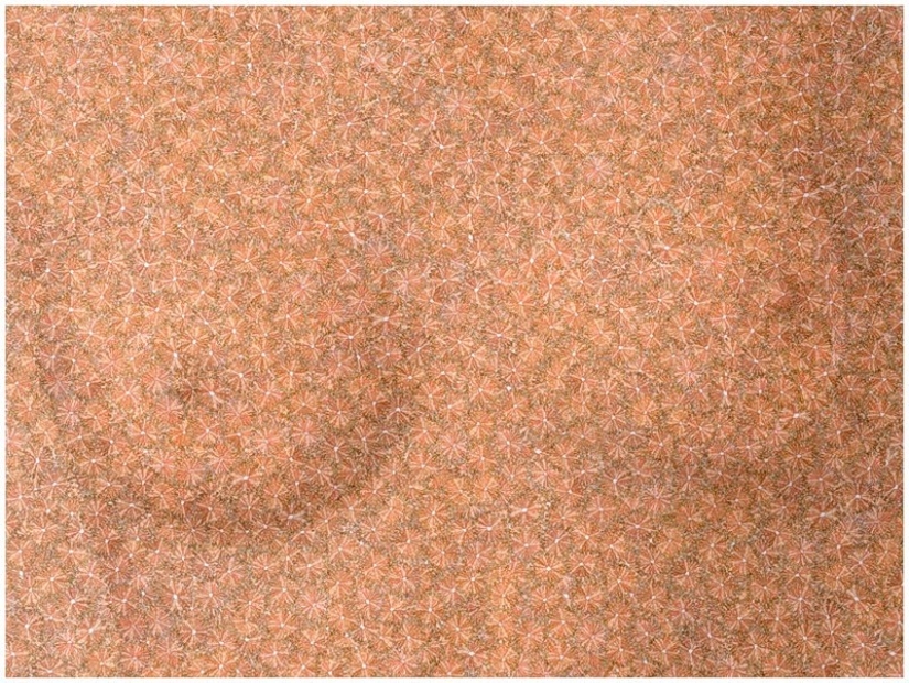 De la serie "American auto-retrato" por Chris Jordan De la serie "American auto-retrato" por Chris Jordan