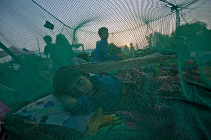 Furioso elemento en diferentes países
