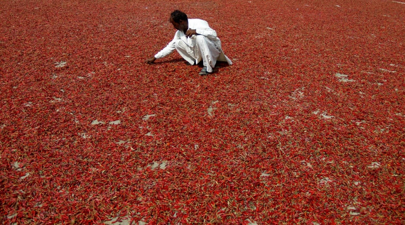 Furioso elemento en diferentes países