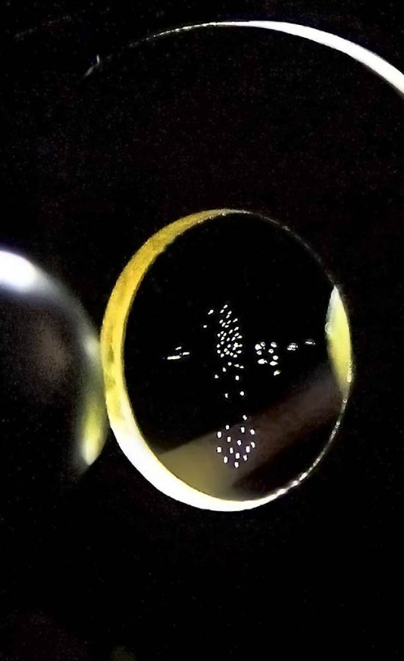 Hermosa la ciencia Hermosa la ciencia