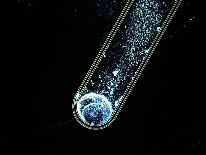 Hermosa la ciencia Hermosa la ciencia