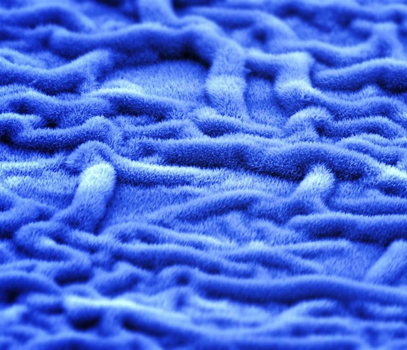 Hermosa la ciencia Hermosa la ciencia