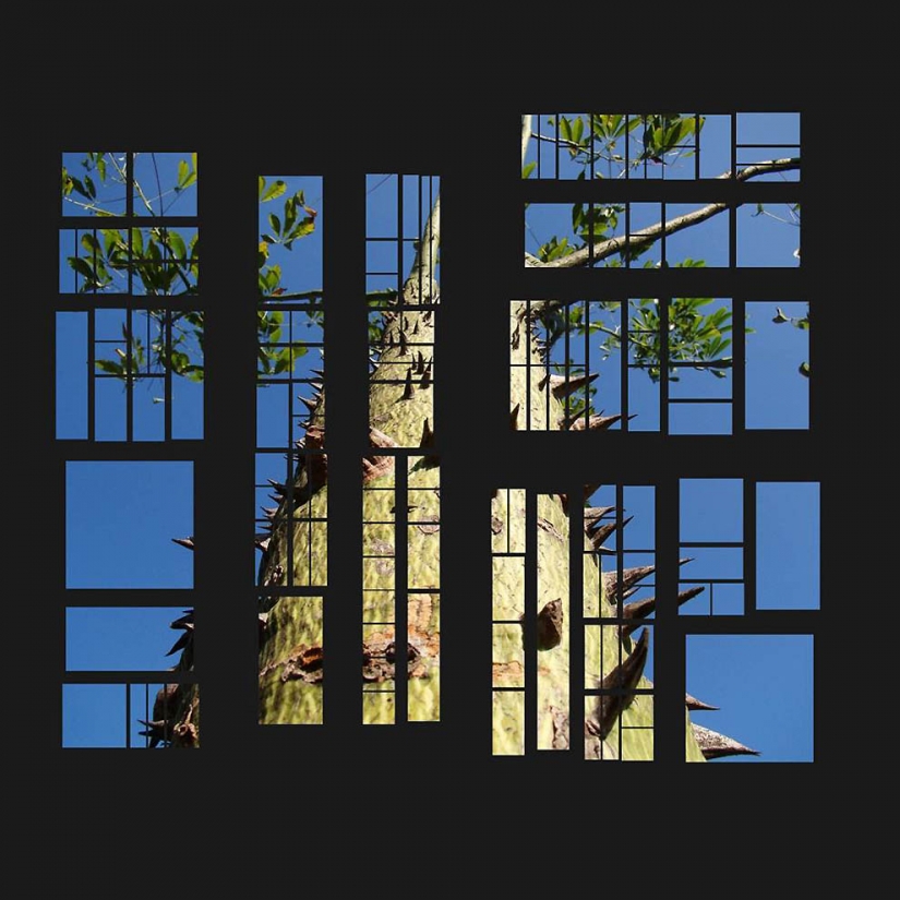 Hermosa la ciencia Hermosa la ciencia