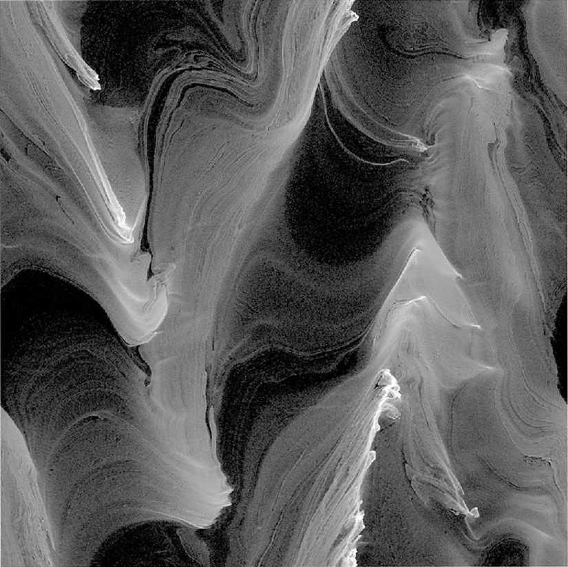 Hermosa la ciencia Hermosa la ciencia