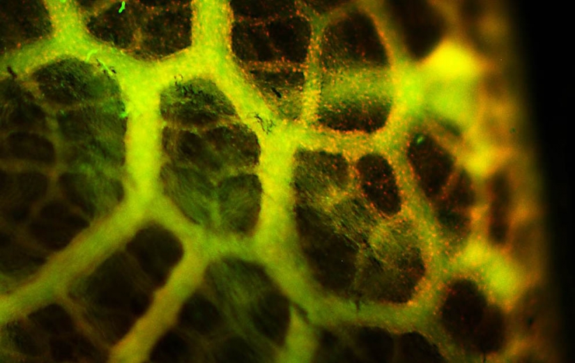 Hermosa la ciencia Hermosa la ciencia