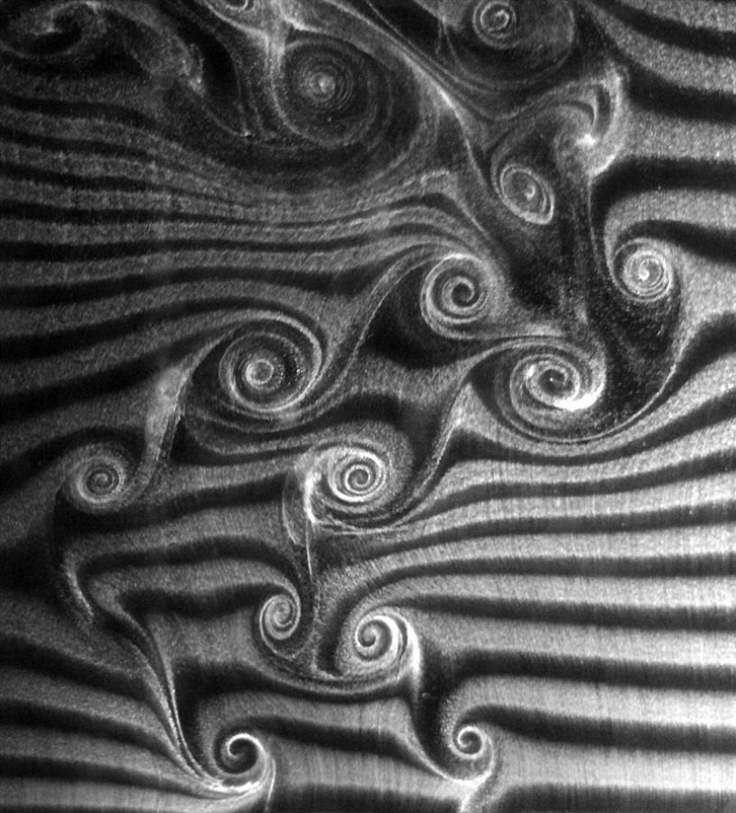 Hermosa la ciencia Hermosa la ciencia