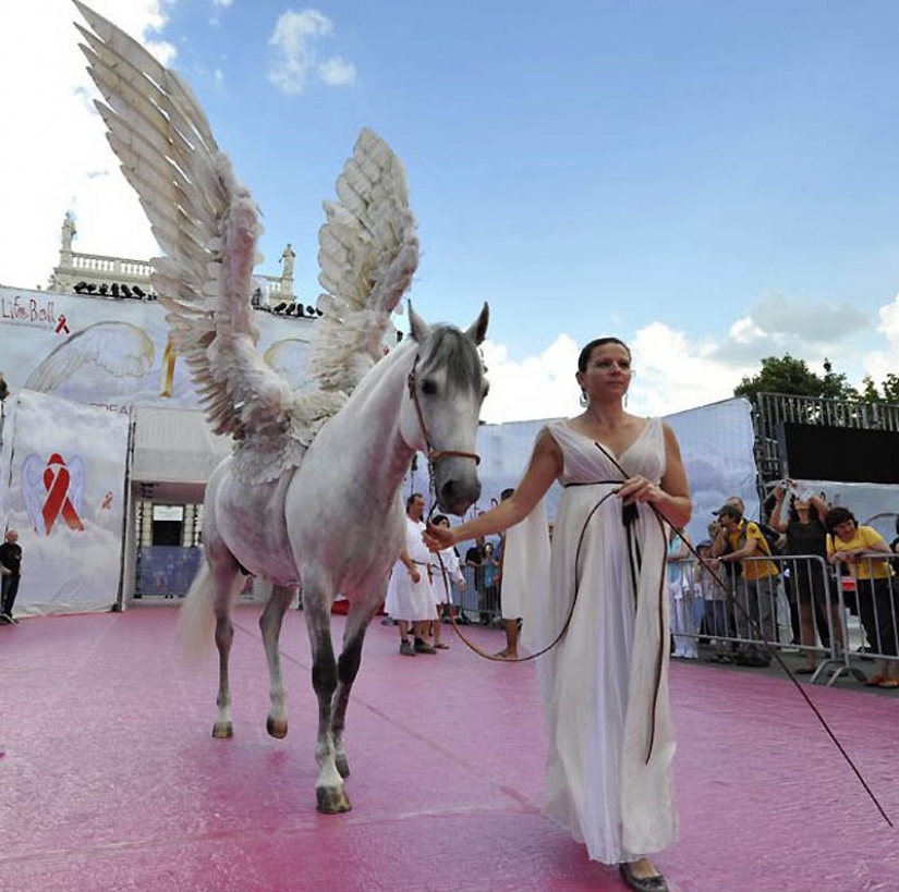 Imágenes del día: 23 de mayo