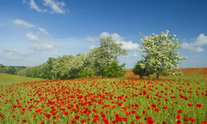 Imágenes del día: 24 de mayo