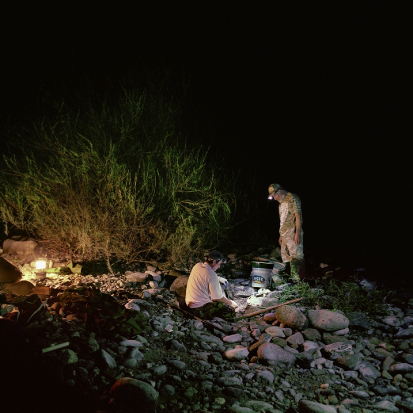 La fiebre del oro de la nueva generación La fiebre del oro de la nueva generación