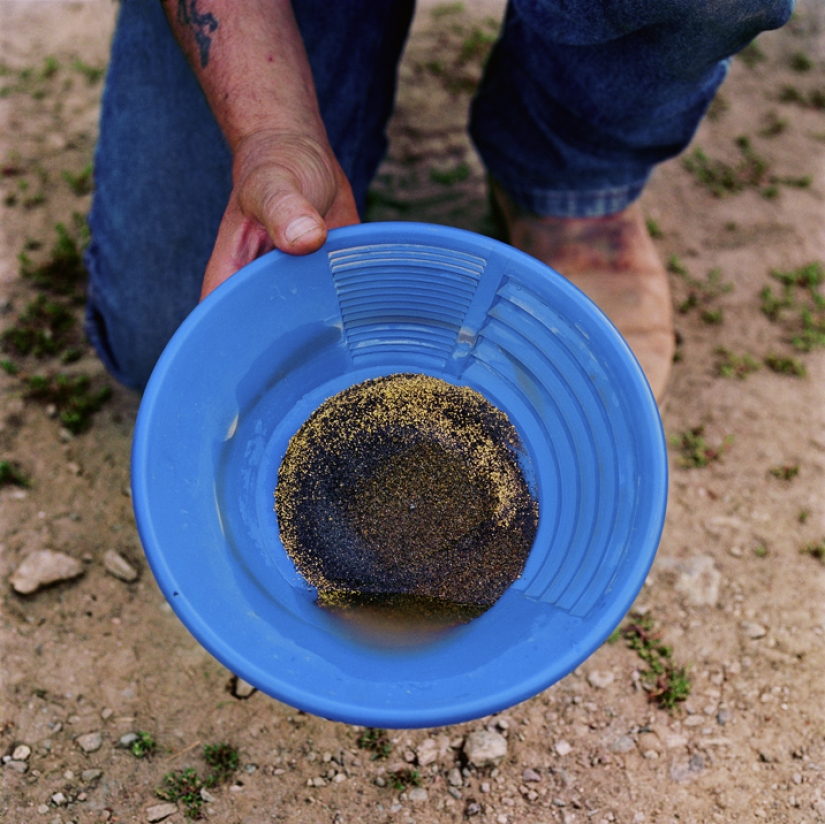La fiebre del oro de la nueva generación La fiebre del oro de la nueva generación