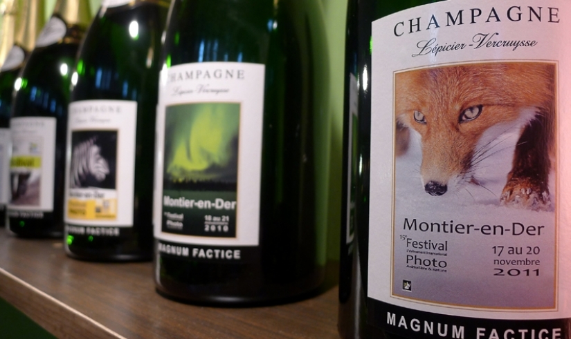 "Los Zorros De Kamchatka". Festival de fotógrafos de naturaleza de Montier-en-Der "Los Zorros De Kamchatka". Festival de fotógrafos de naturaleza de Montier-en-Der