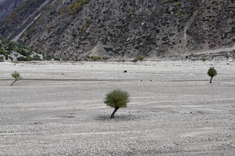 Pakistán: sabemos acerca de él? (Parte 1)