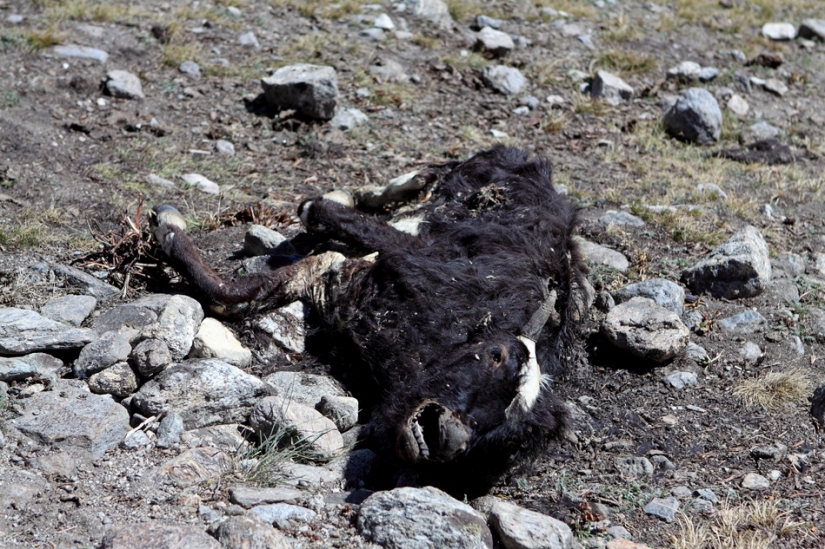 Pakistán: sabemos acerca de él? (Parte 1)