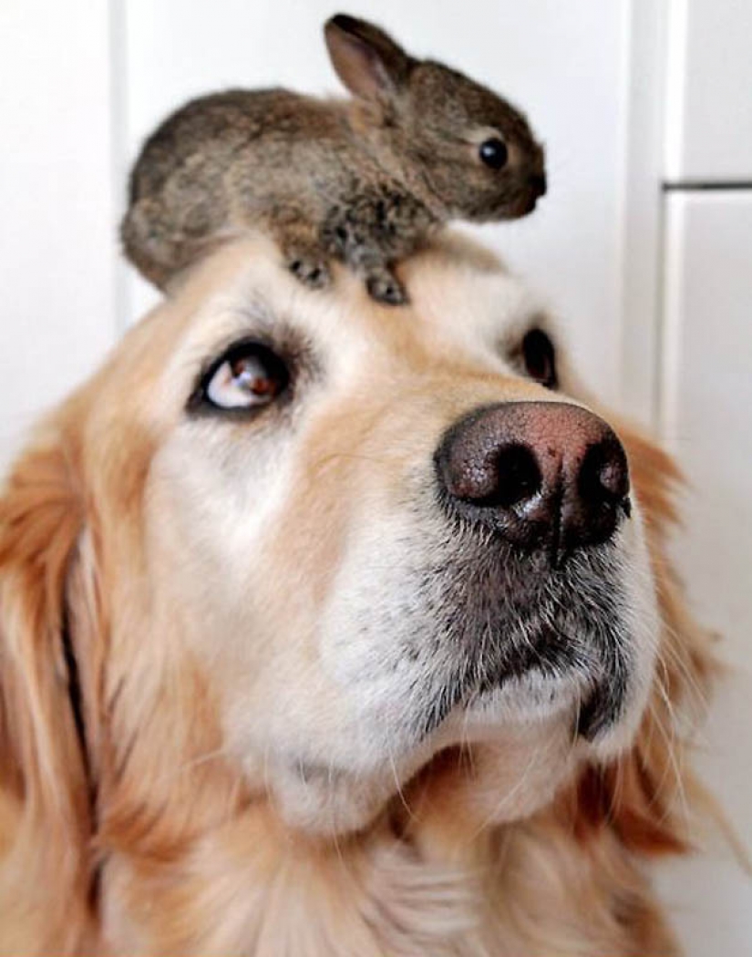 Pictures of the day: may 23