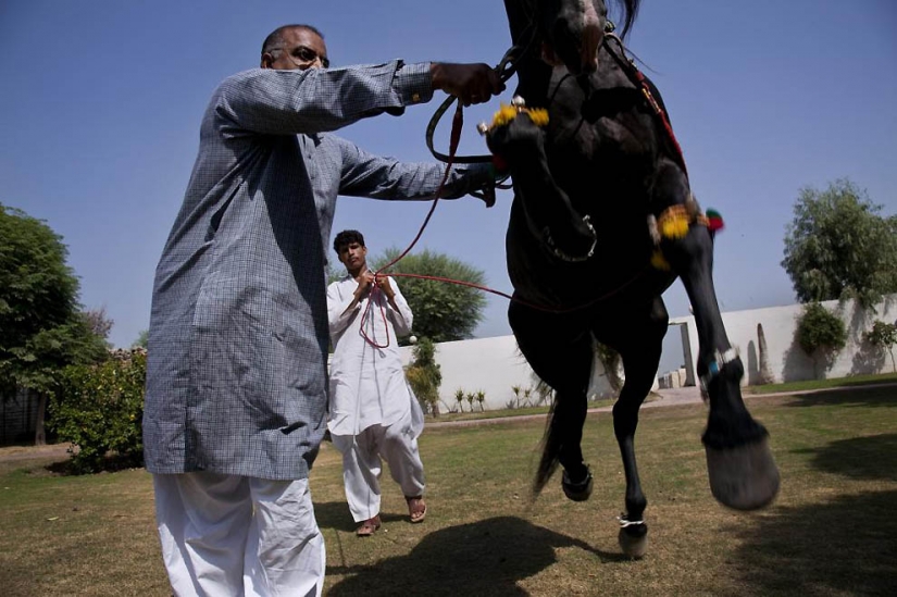 Punjab: una región con un difícil pasado y el presente