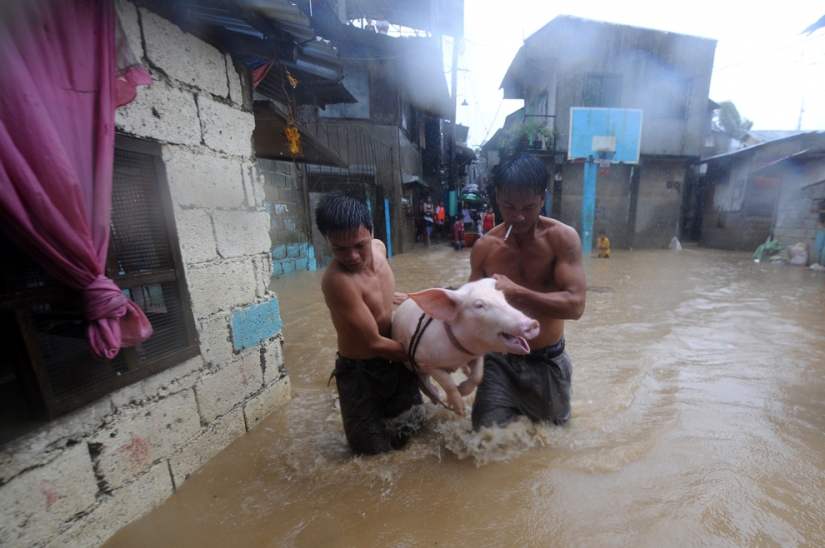 Raging element in different countries Raging element in different countries