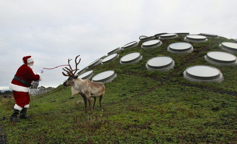 Santa and the crisis