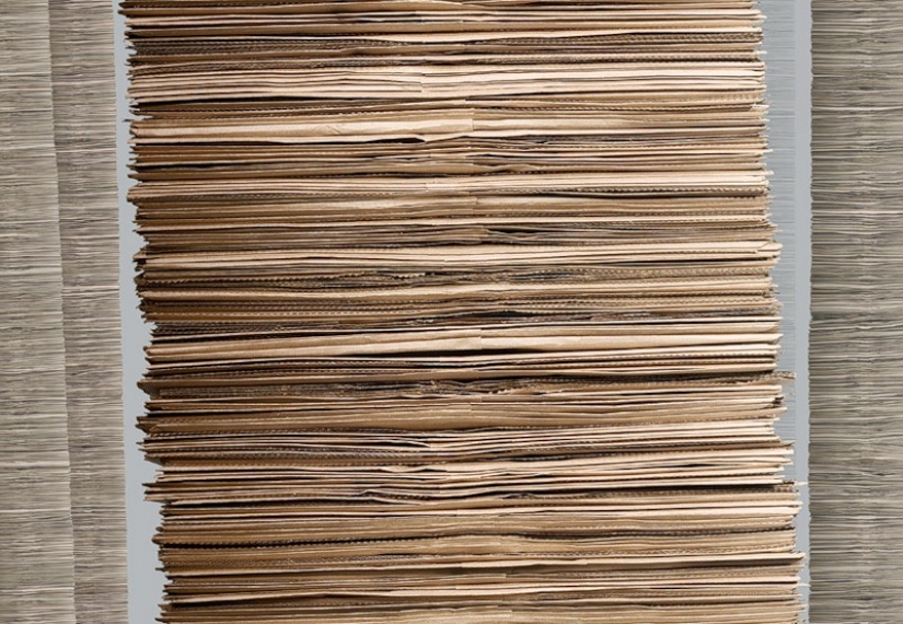 Series "American self-portrait" by Chris Jordan Series "American self-portrait" by Chris Jordan