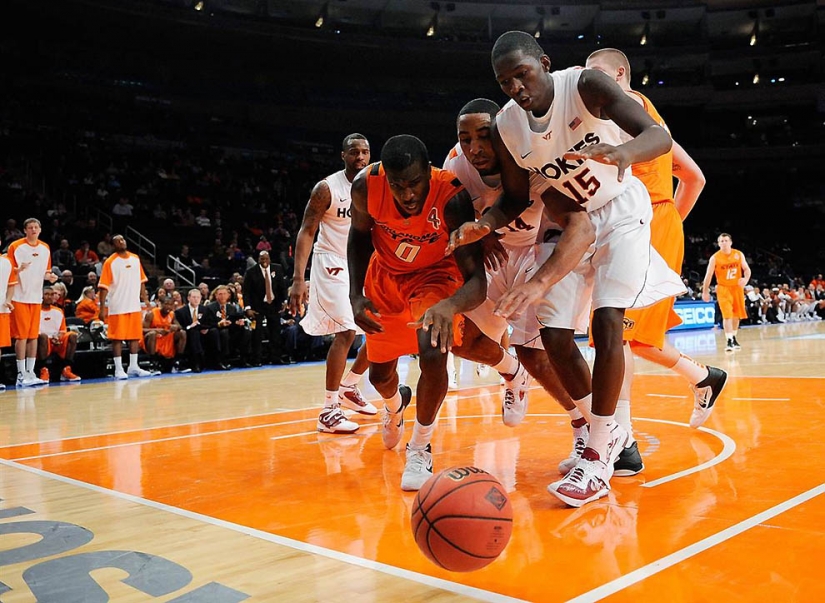 Such a diverse sport