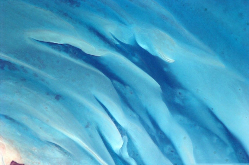 The earth in the lens astronaut Paolo Nespoli