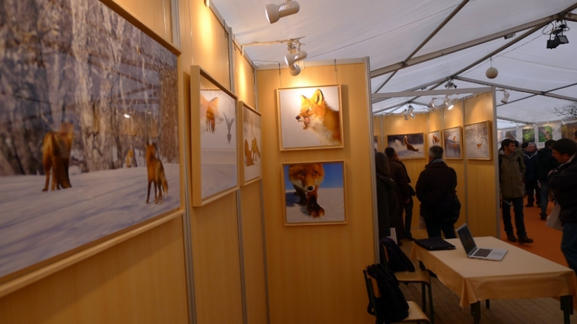 "The Foxes Of Kamchatka". Festival of wildlife photographers Montier-en-Der