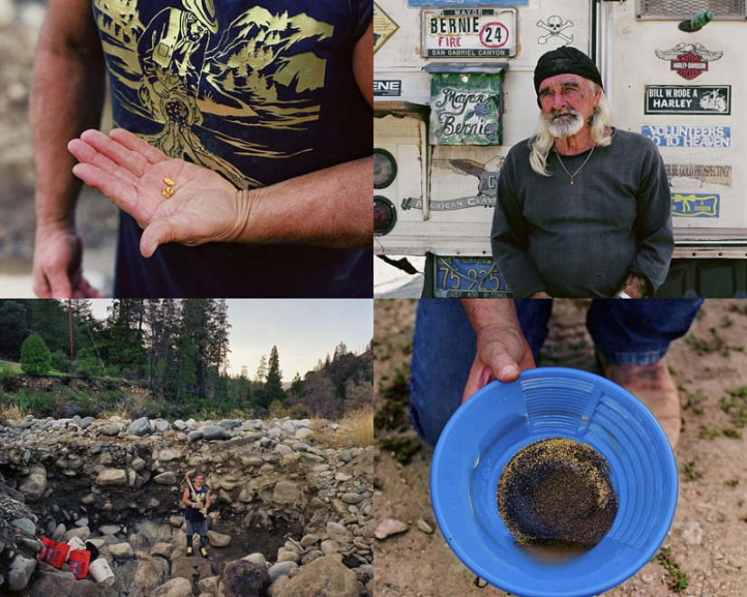 The gold rush of the new generation The gold rush of the new generation