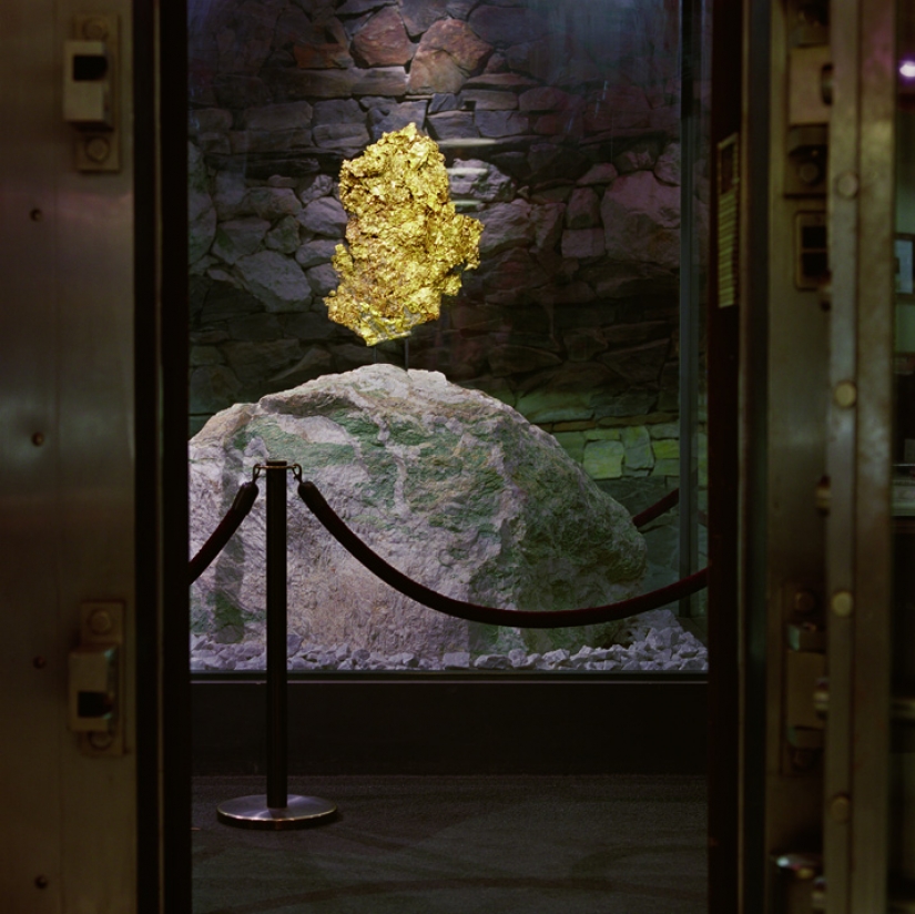 The gold rush of the new generation The gold rush of the new generation