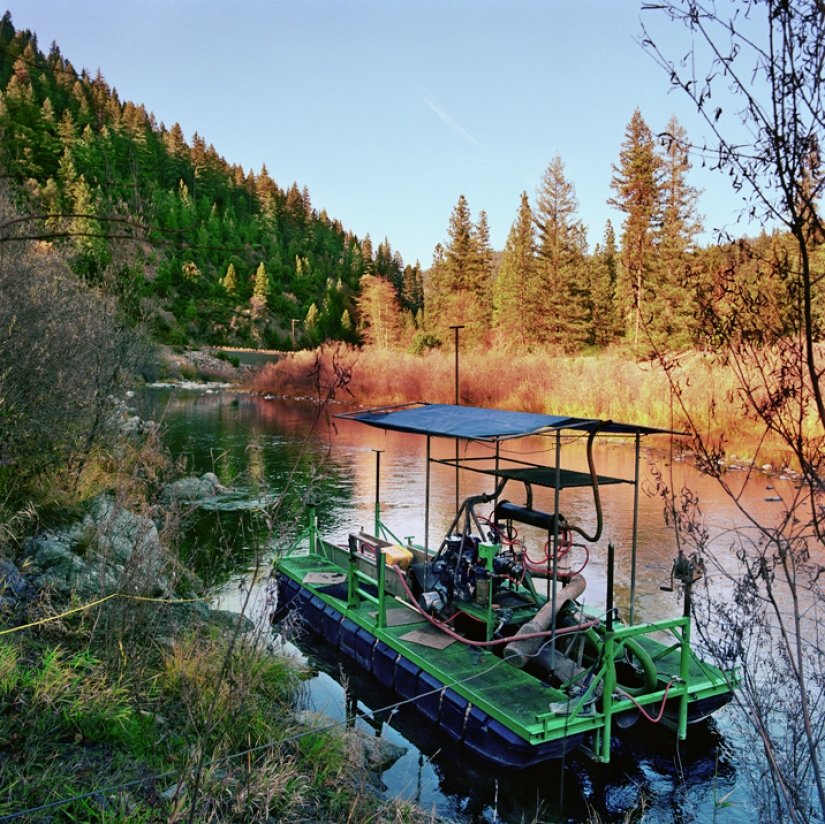 The gold rush of the new generation The gold rush of the new generation