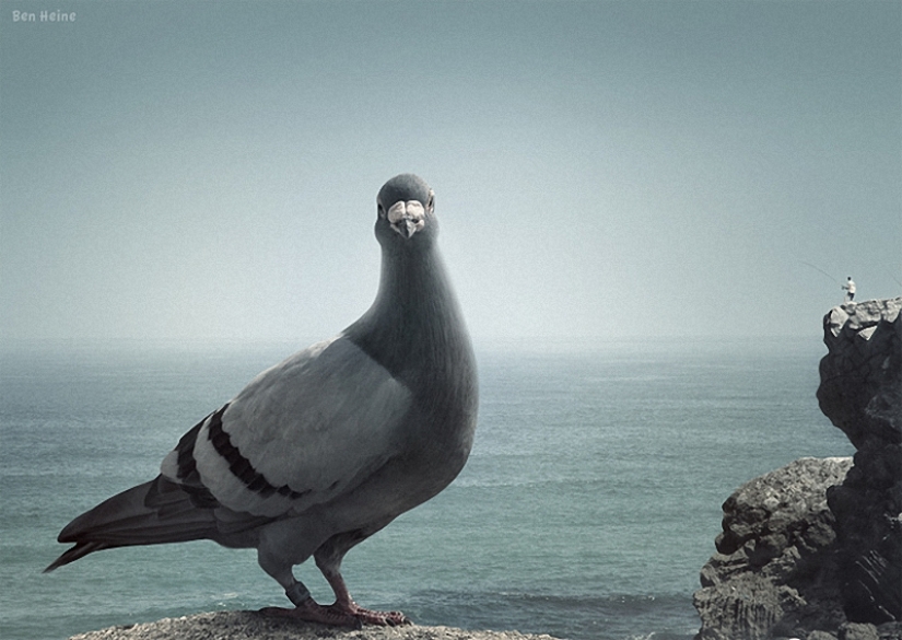 Una ilusión óptica en imágenes (parte 1)