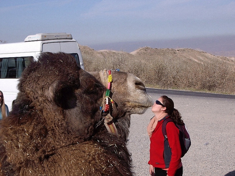 Una ilusión óptica en imágenes (parte 1)