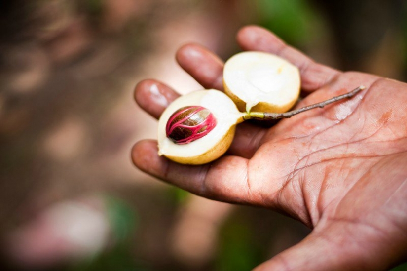 Zanzíbar: Fotógrafo Ewald Sadie
