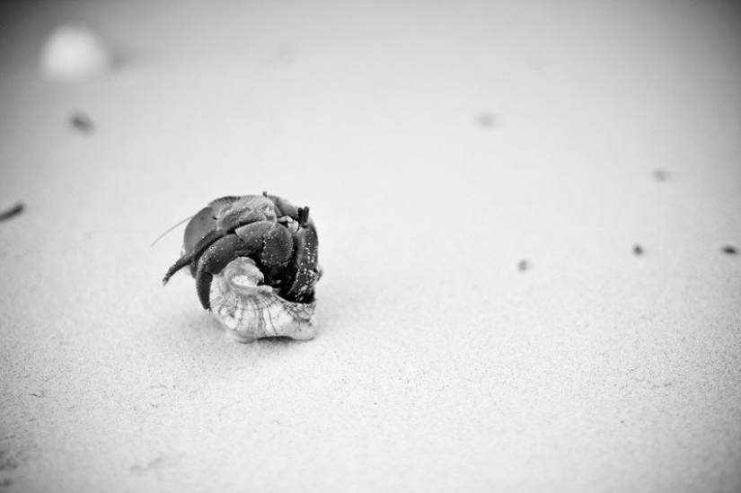 Zanzibar: Photographer Ewald Sadie