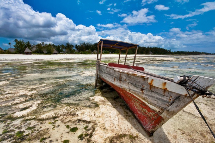 Zanzibar: Photographer Ewald Sadie