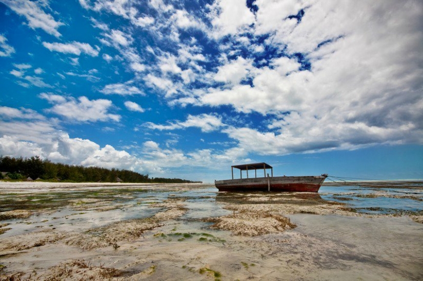 Zanzibar: Photographer Ewald Sadie