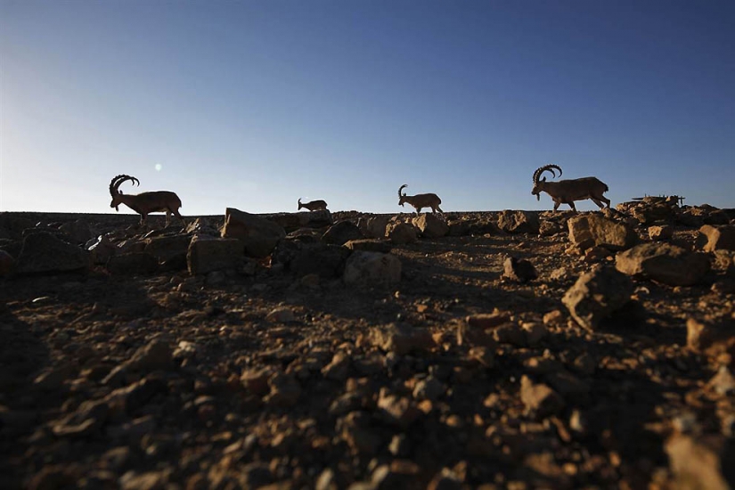 Brothers our smaller