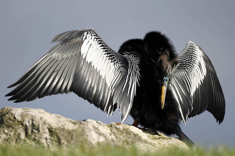 Brothers our smaller