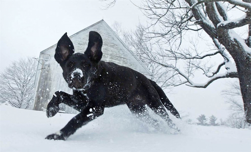 Brothers our smaller