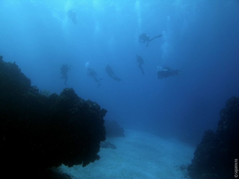 Buceo en la isla de Cozumel