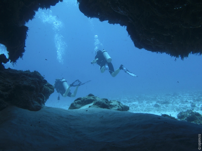 Buceo en la isla de Cozumel