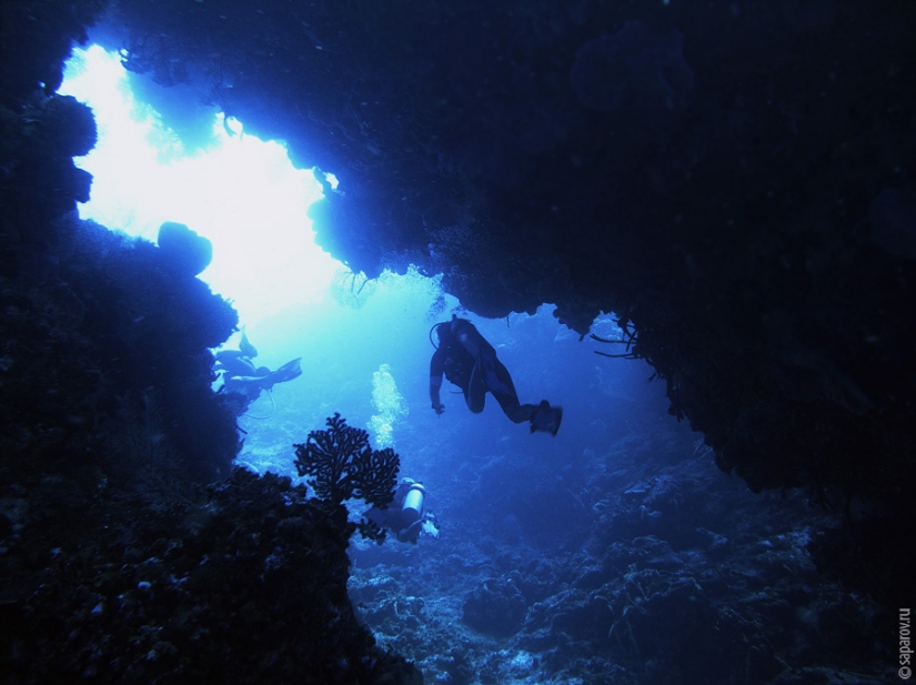 Buceo en la isla de Cozumel
